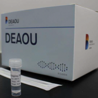 Covid 19 Transparent Test Kit