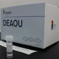 Covid 19 Transparent Test Kit