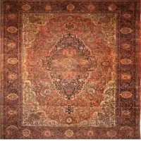 Sarouk Rugs