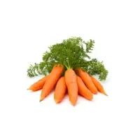 Carrot