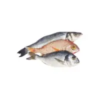 Fishes