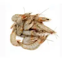 Prawns