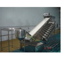 SS PUD Shrimp Washing and Grading Conveyor