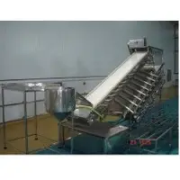 SS PUD Shrimp Washing and Grading Conveyor