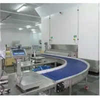 SS Radius Conveyor