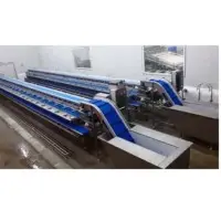 SS Shrimp Beheading Conveyor