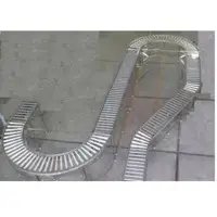 SS Transfer Conveyor