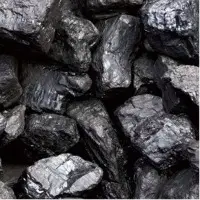 Coal