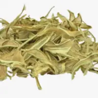 Organic Aloe Vera Leaves