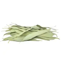 Organic Eucalyptus Leaves