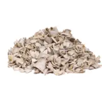 Organic Ginger Root Slices
