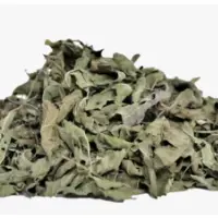 Organic Holy Basil Leaf