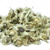 Organic Moringa Seeds