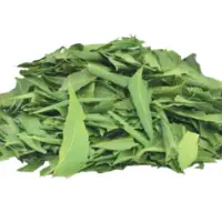 Organic Neem Leaves