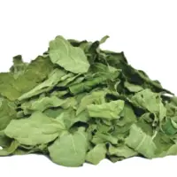 Organic Ziziphus-spina Leaves