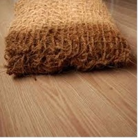 Coir Pillow