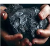 Coal