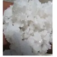 Sea Salt