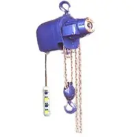 Chain Electrical Hoist