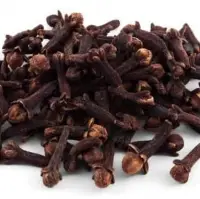 Clove