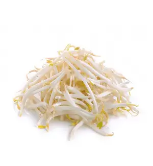 Bean Sprouts