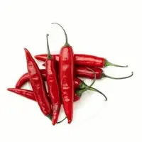 Tejan Chili