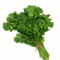 Coriander