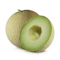 Melon (Green)