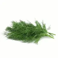 Dill