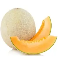 Melon (Orange)