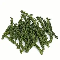Thai Birds Eye Chili