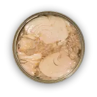 Canned Tuna