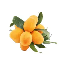 Plum Mango