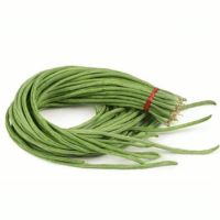 Yard Long Beans