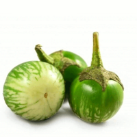 Thai Eggplant