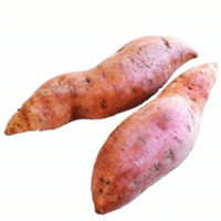 Sweet Potato