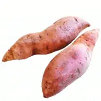 Sweet Potato