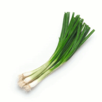 Spring Onion
