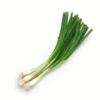 Spring Onion
