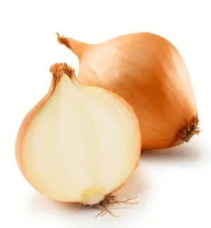 Onion