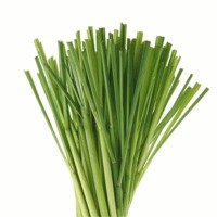 Lemongrass