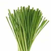 Lemongrass