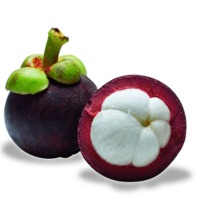 Mangosteen