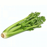 Celery