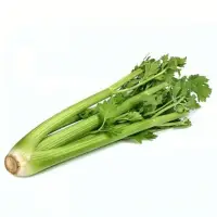 Celery