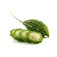Bitter Gourd