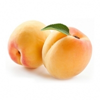 Apricot