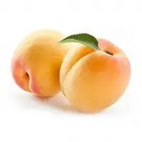 Apricot