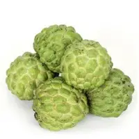 Custard Apple