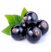 Blackcurrant